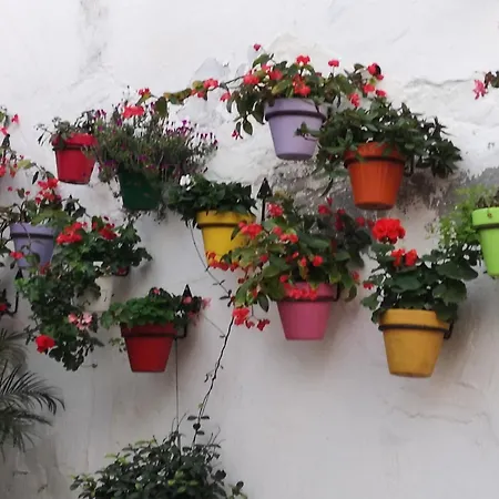 Intermobiliaria - Puerto Alto B4 13 아파트 *